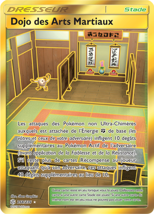 Dojo des Arts Martiaux