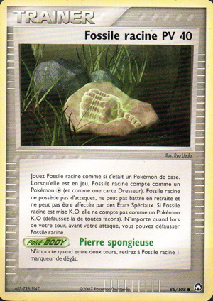 Fossile racine