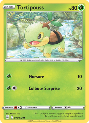 Tortipouss