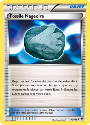 Fossile Nageoire