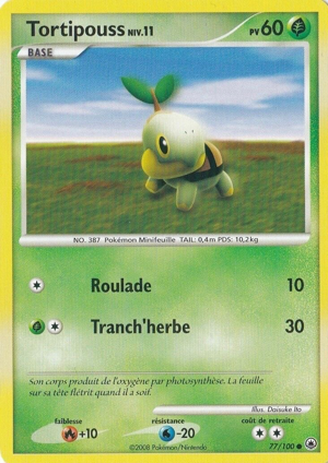 Tortipouss