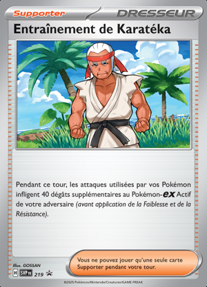 Entraînement de Karatéka