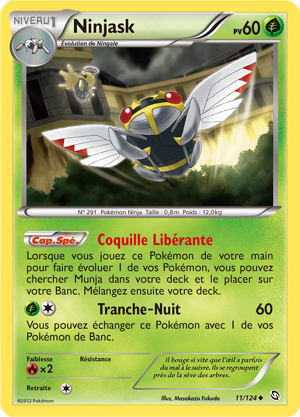 Ninjask
