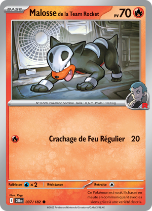 Malosse de la Team Rocket