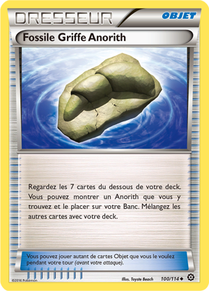 Fossile Griffe Anorith