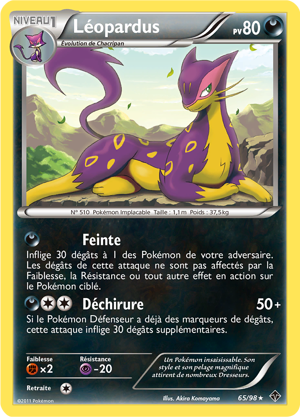Léopardus