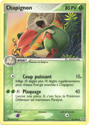 Chapignon