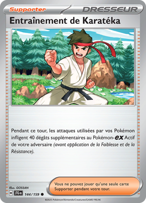 Entraînement de Karatéka