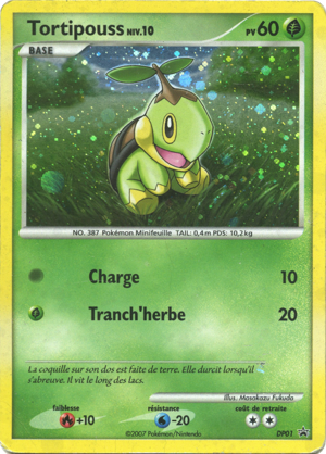 Tortipouss