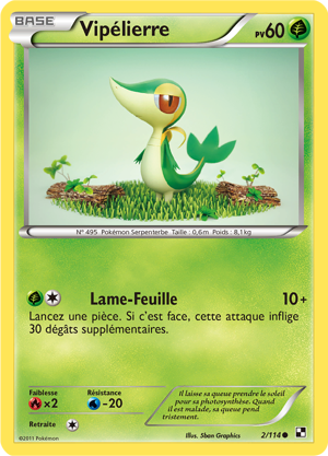 Vipélierre