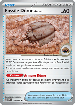 Fossile Dôme Ancien