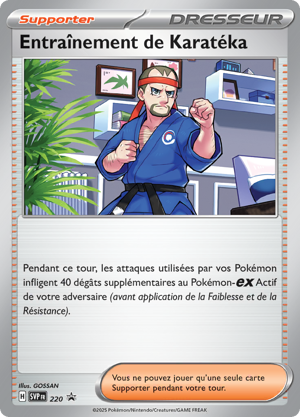 Entraînement de Karatéka